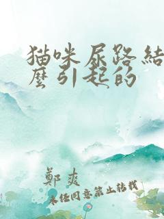 猫咪尿路结晶怎么引起的