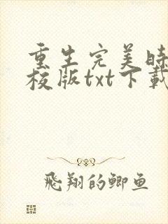 重生完美时代精校版txt下载