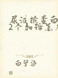 尿液检查白细胞2个加号怎么回事