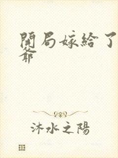 开局嫁给了傻王爷