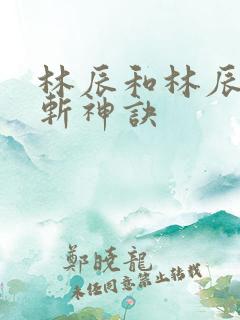 林辰和林辰九天斩神诀