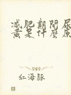 减肥期间尿液发黄是什么原因