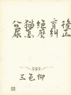 公猫绝育后还乱尿怎么纠正