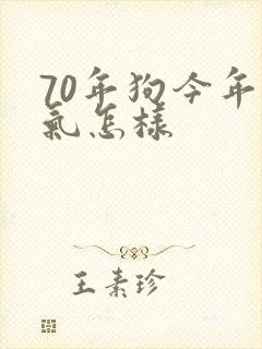70年狗今年运气怎样