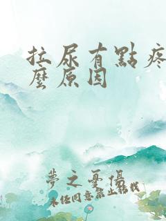 拉尿有点疼是什么原因