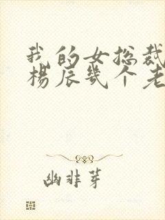 我的女总裁老婆杨辰几个老婆