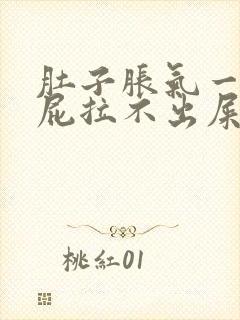 肚子胀气一直放屁拉不出屎