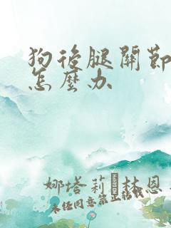 狗后腿关节肿大怎么办