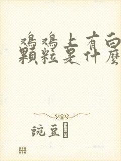 鸡鸡上有白色小颗粒是什么情况