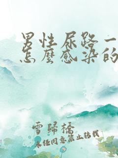 男性尿路一般是怎么感染的