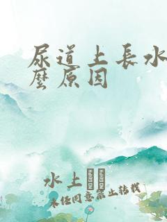 尿道上长水泡什么原因