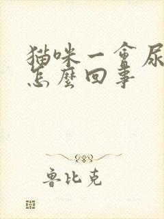 猫咪一会尿一点怎么回事