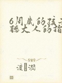 6周岁的孩子不听大人的指令怎么办