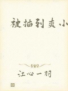 被插到爽小说