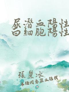 尿潜血阳性和尿白细胞阳性怎么回事