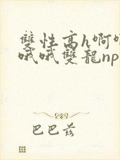 双性高h啊啊嗯哦哦双龙np