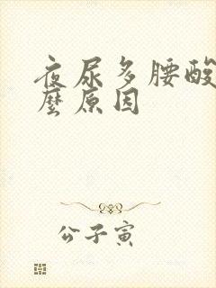 夜尿多腰酸痛什么原因