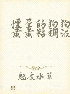 怀孕的狗狗吐了黄黄粘稠液体