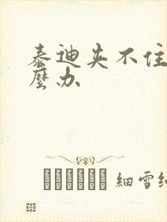 泰迪夹不住尿怎么办