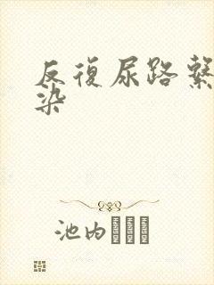 反复尿路系统感染