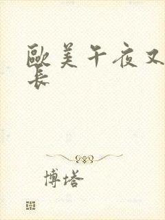 欧美午夜又粗又长