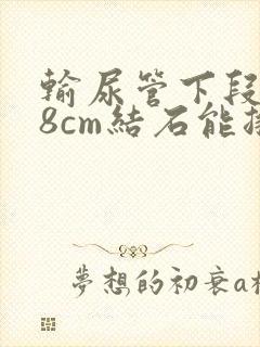 输尿管下段0.8cm结石能排出吗