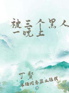 被三个黑人做了一晚上