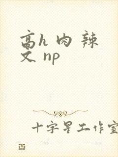 高h 肉 辣 文 np