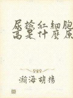 尿检红细胞计数高是什么原因