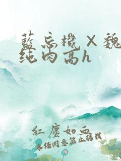 蓝忘机×魏无羡纯肉高h