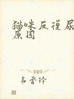 猫咪反复尿闭的原因