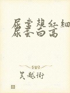 尿常规红细胞和尿蛋白高