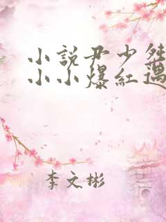 小说尹少桀,慕小小爆红遇见