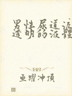 男性尿道流出来透明的液体