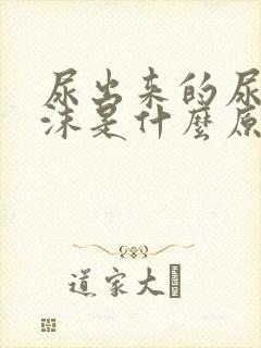 尿出来的尿有泡沫是什么原因