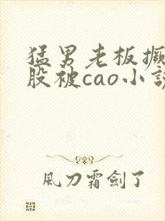 猛男老板撅着屁股被cao小说