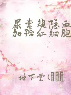 尿常规隐血2个加号红细胞偏高