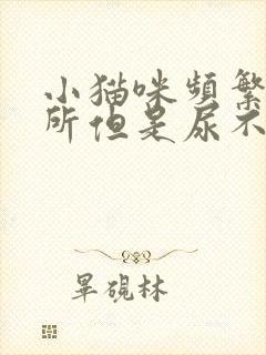 小猫咪频繁上厕所但是尿不出来