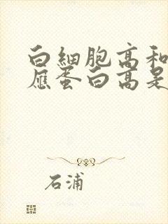 白细胞高和c反应蛋白高是什么原因