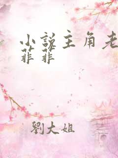 小说主角老周赵菲菲