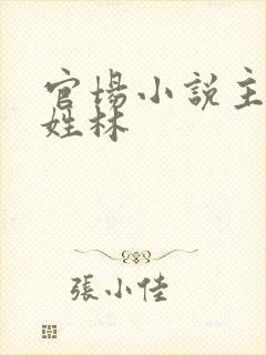 官场小说主人公姓林