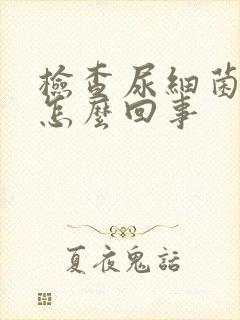 检查尿细菌高是怎么回事