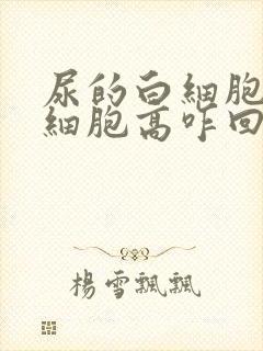 尿的白细胞和红细胞高咋回事