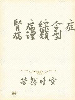 肾病综合症5种病理类型