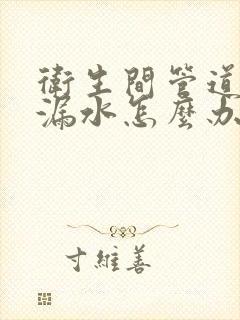 卫生间管道老化漏水怎么办