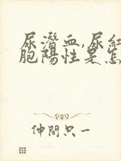 尿潜血,尿红细胞阳性是怎么回事