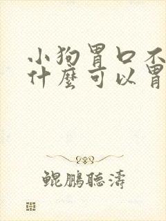 小狗胃口不好吃什么可以胃口好