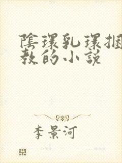 阴环乳环捆绑调教的小说