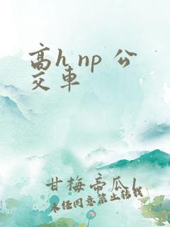 高h np 公交车