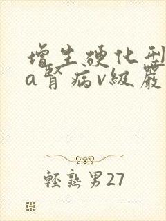 增生硬化型iga肾病v级严重不